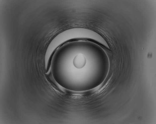 X0000094900192200711291241
