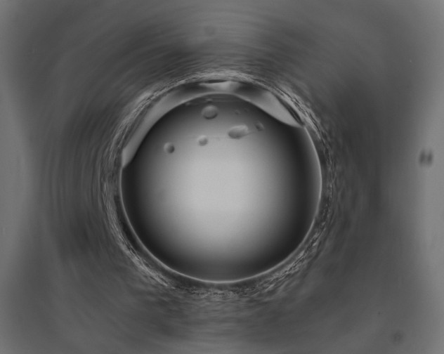 X0000094900193200711291240