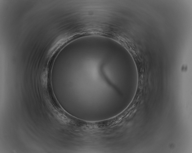 X0000094900194200711291240