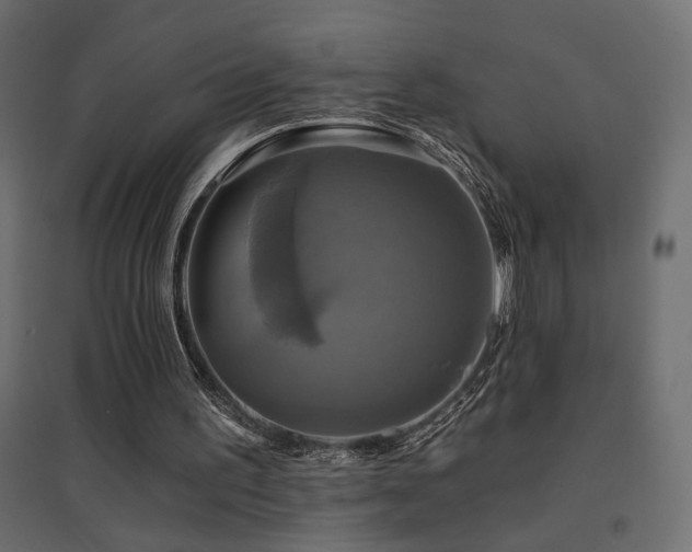 X0000094900195200711291240