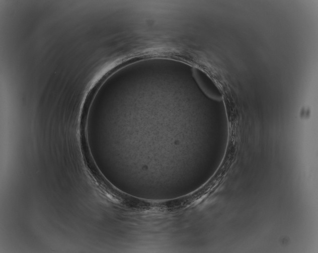 X0000094900196200711291240