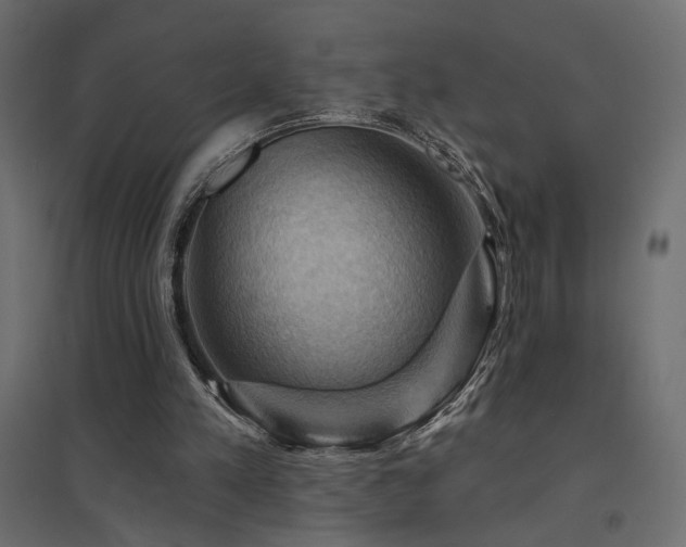 X0000094900197200711291240
