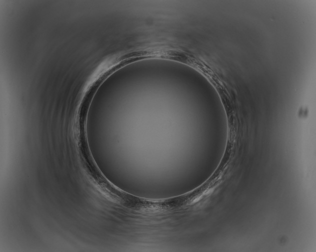X0000094900198200711291240
