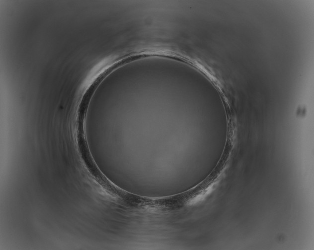 X0000094900199200711291240