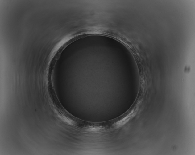 X0000094900200200711291240