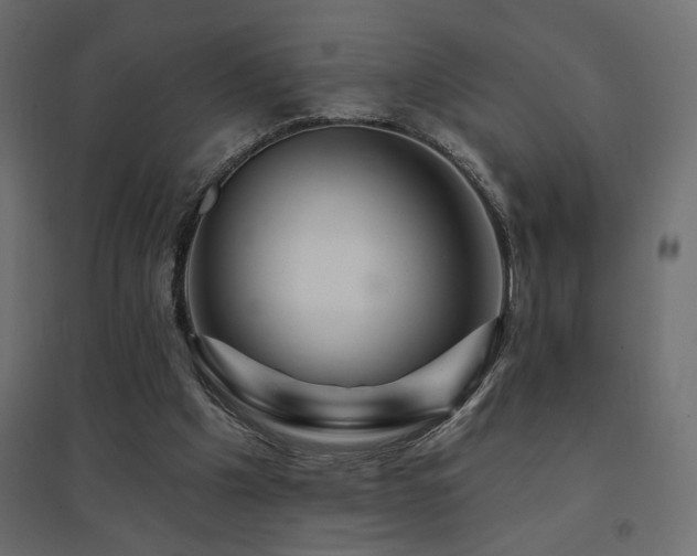 X0000094900201200711291240