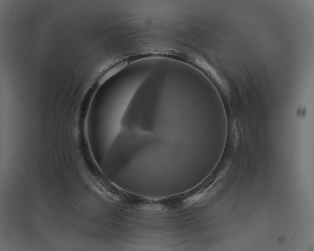 X0000094900203200711291240