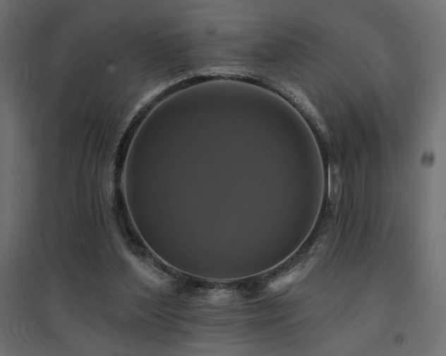 X0000094900204200711291240