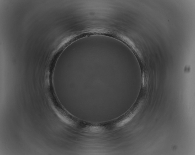 X0000094900205200711291240
