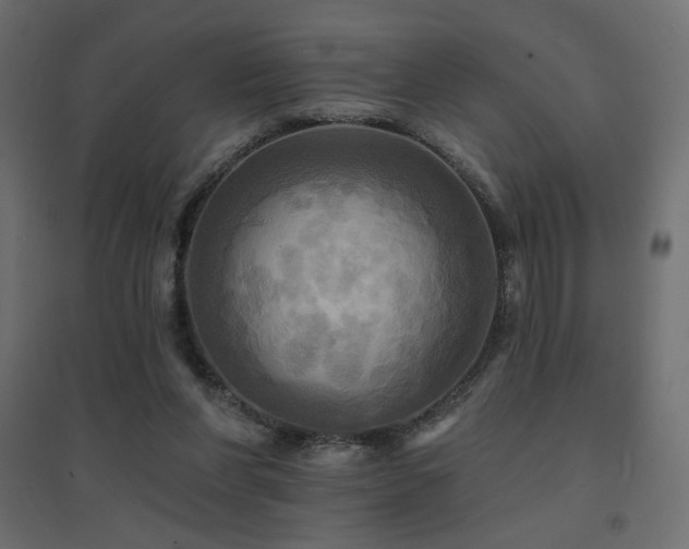 X0000094900206200711291240