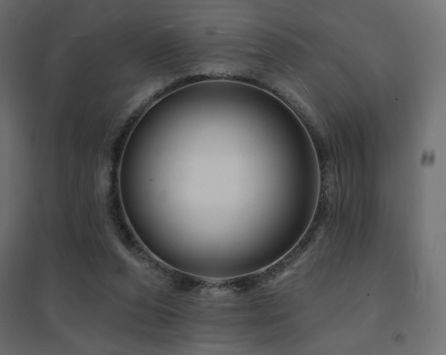 X0000094900208200711291240