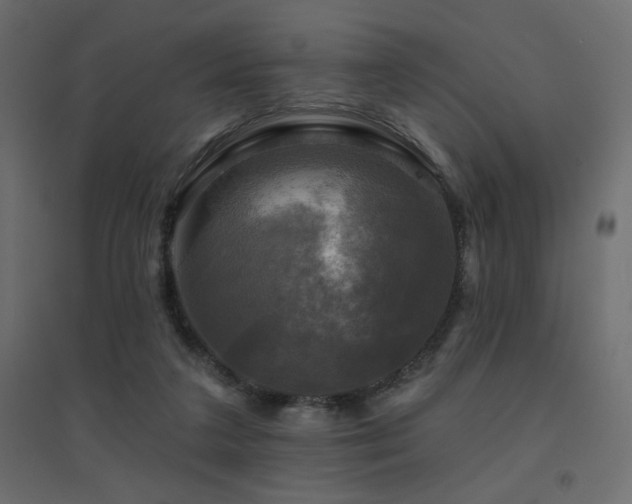 X0000094900211200711291240