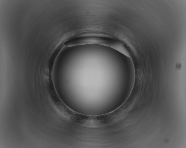 X0000094900212200711291240