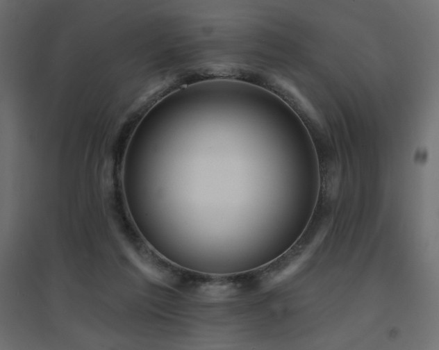 X0000094900213200711291240