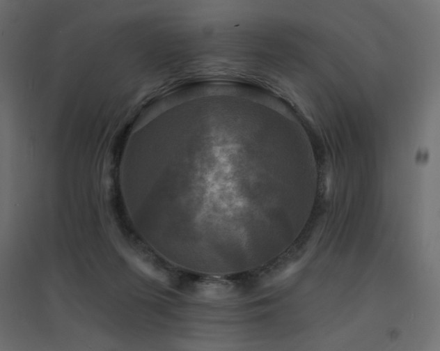 X0000094900215200711291240