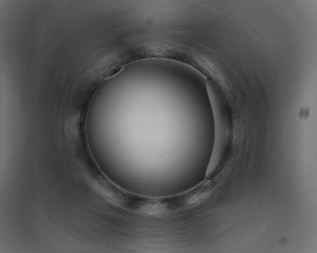 X0000094900217200711291240