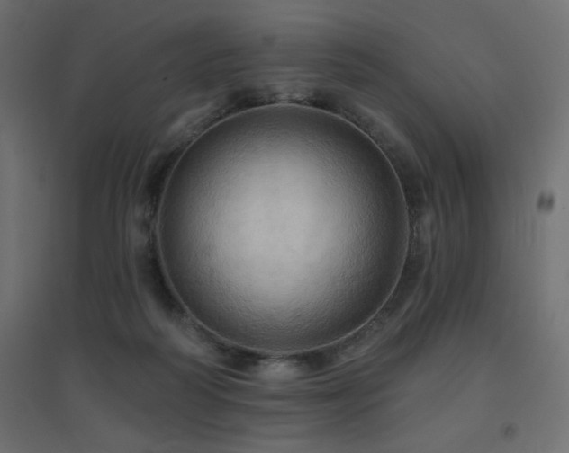 X0000094900218200711291240