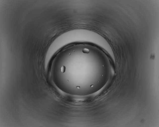 X0000094900219200711291240