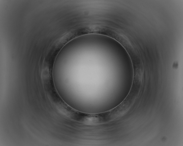 X0000094900220200711291240