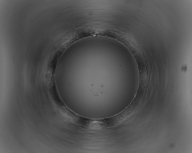 X0000094900222200711291240