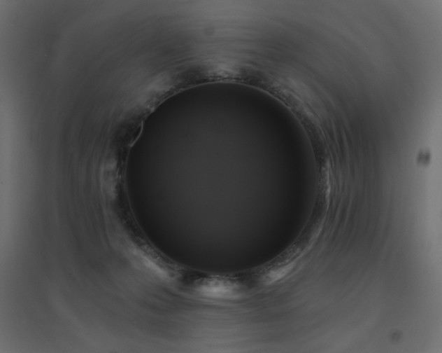 X0000094900223200711291240