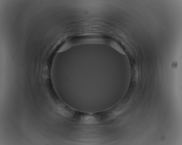 X0000094900224200711291240
