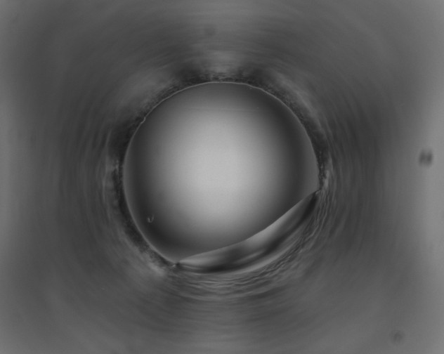 X0000094900225200711291240