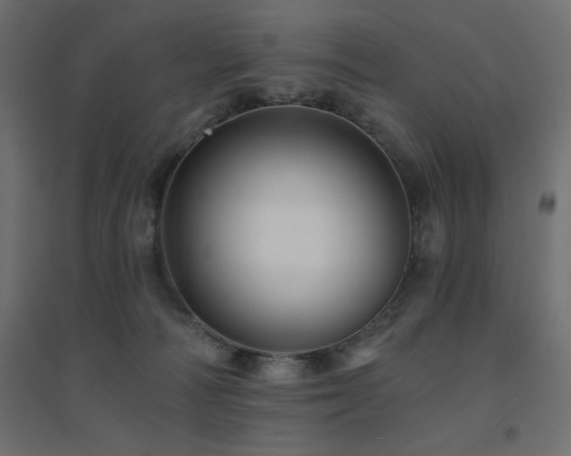 X0000094900226200711291240