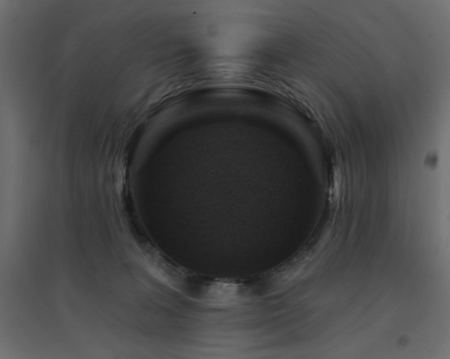 X0000094900227200711291240