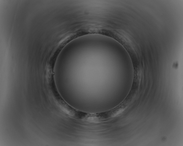 X0000094900228200711291240