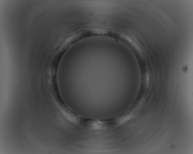 X0000094900229200711291240