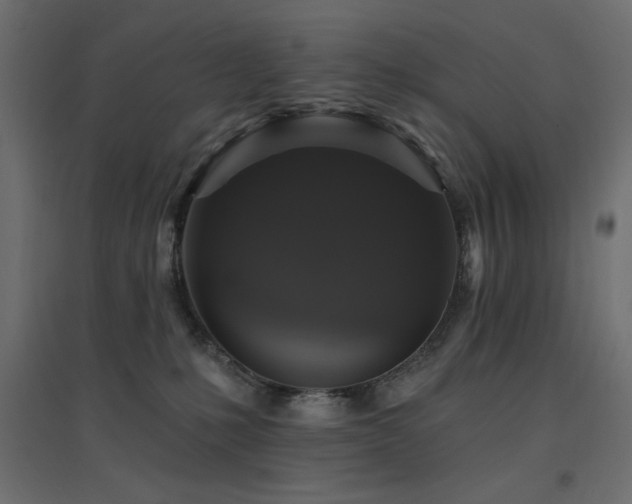 X0000094900231200711291240