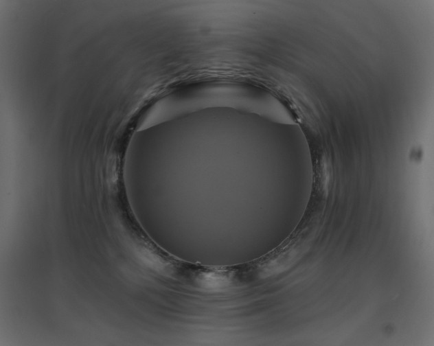 X0000094900232200711291239