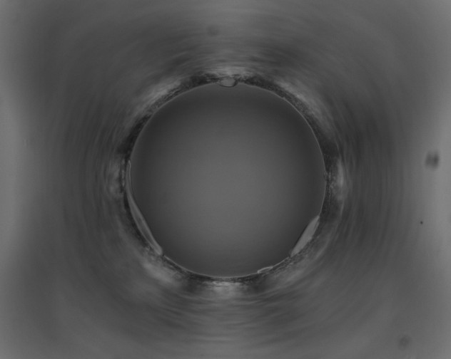 X0000094900233200711291239