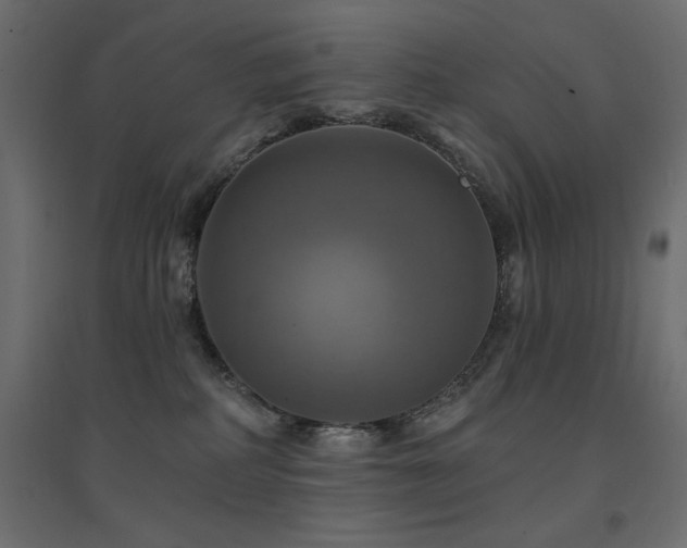 X0000094900234200711291239