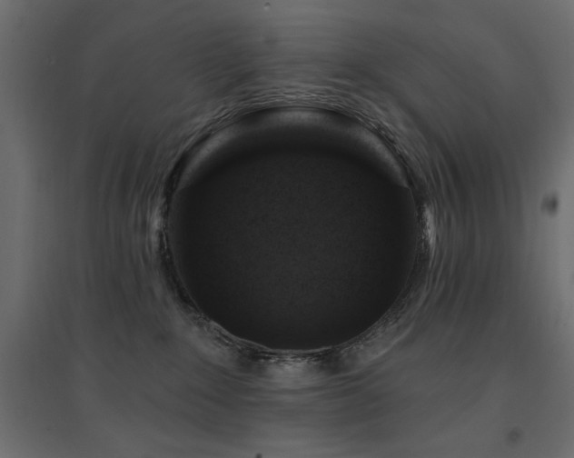 X0000094900235200711291239