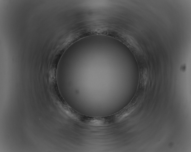 X0000094900236200711291239