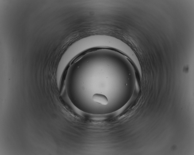X0000094900237200711291239