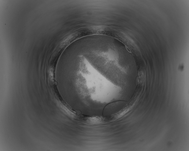 X0000094900238200711291239