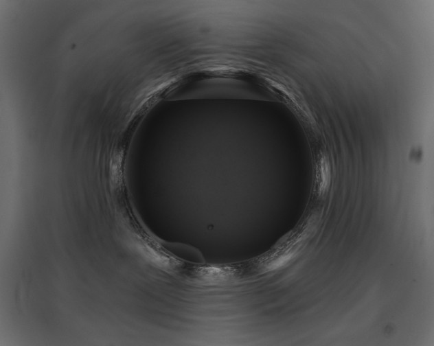 X0000094900239200711291239