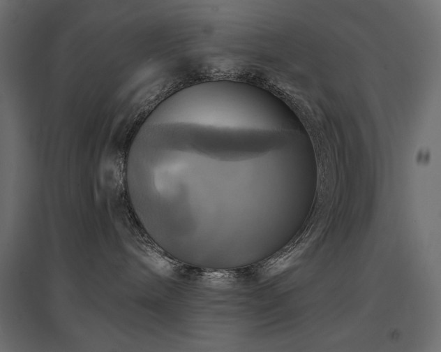 X0000094900240200711291239
