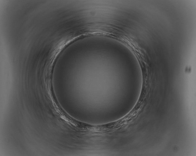 X0000094900241200711291239