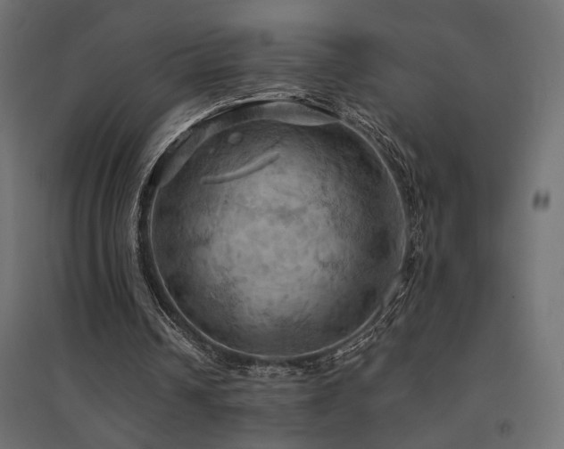 X0000094900242200711291239