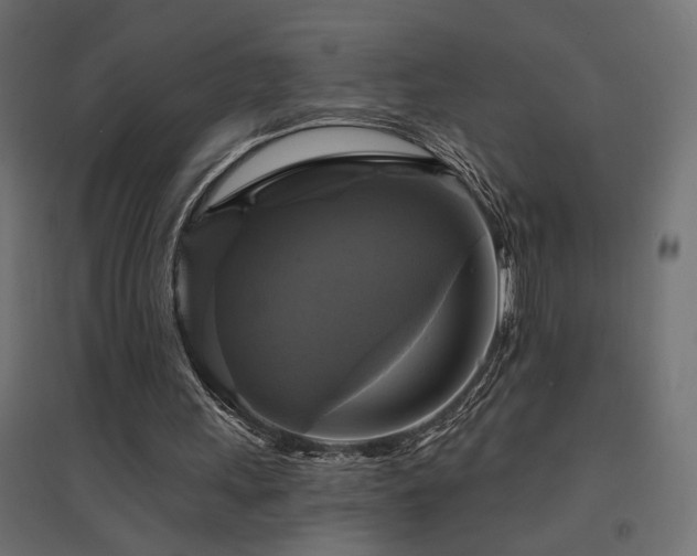 X0000094900243200711291239