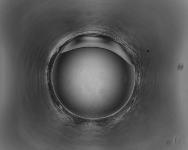X0000094900244200711291239