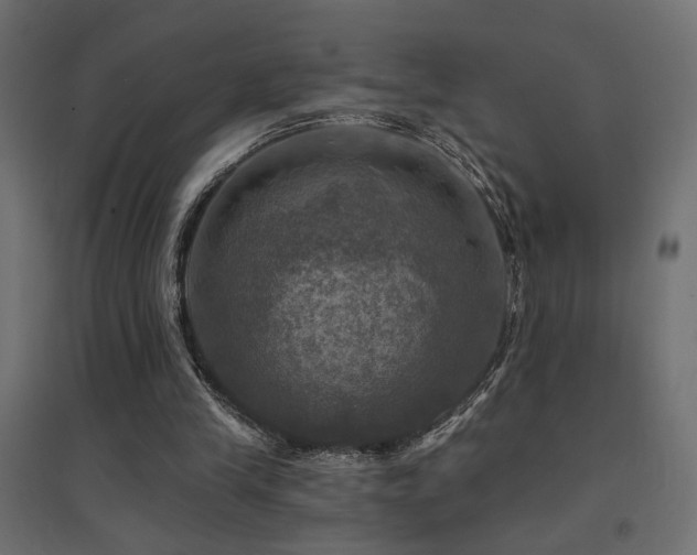 X0000094900245200711291239