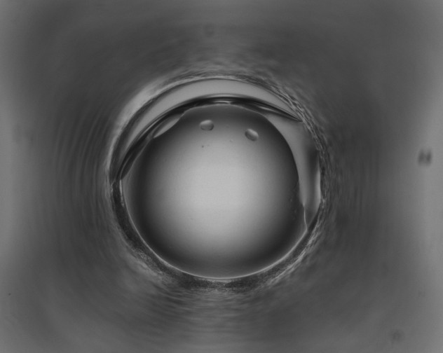 X0000094900246200711291239