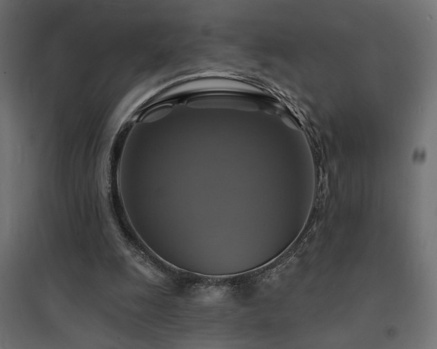 X0000094900247200711291239