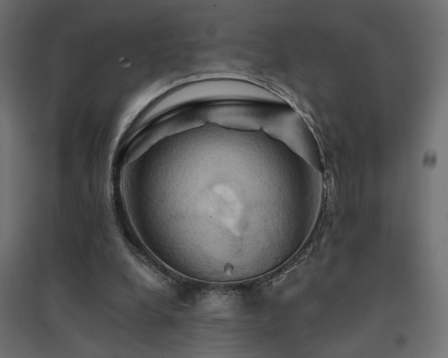 X0000094900248200711291239