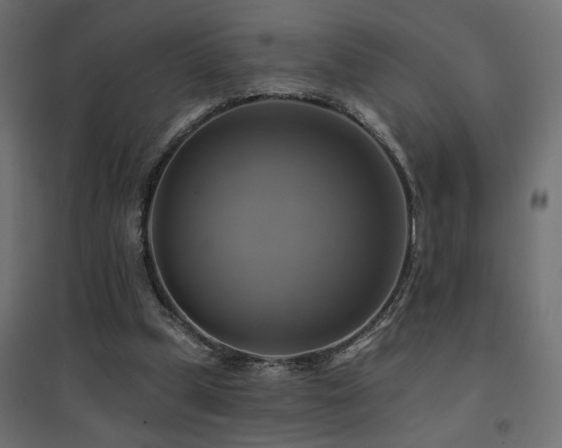 X0000094900249200711291239